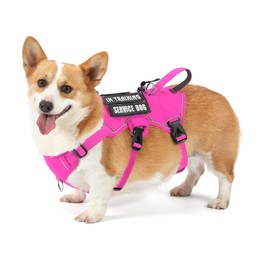 VOOPET Escape Proof Dog Harness, Soft Padded Full Body Pet Harness, Reflective No Pull Dog Harness with Handle and 2 Leash Clips for Small Dogs Walking Hiking Training (Rose Pink,S)