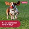 K9 Advantix II Medium Dog Vet-Recommended Flea, Tick & Mosquito