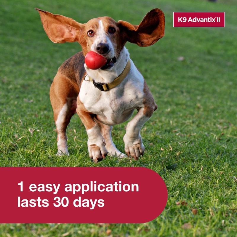 K9 Advantix II Medium Dog Vet-Recommended Flea, Tick & Mosquito