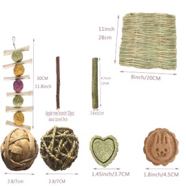 Bunny Toys 30PCS Guinea Pig Toys Rabbit Toys Accessories Natural Timothy Biscuit Hay Sticks Hamster Toys for Teeth Handmade Rabbit Chews and Treats Apple Wood Sticks Chinchilla Rat Teeth Molar