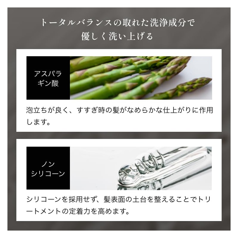 GINZUBA REPAIR SHAMPOO