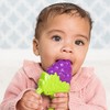Infantino Vibrating Teether - Juego de frutas