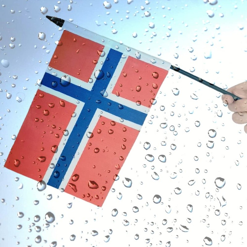 US American & Norway Friendship Table Flag Display, American &