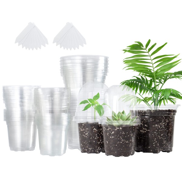 Bonviee Bonviee 36 Packs 3.5/4/5 Inch Clear Nursery Pots with