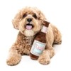 Fuzzyard Assorted Beer Bottle Can Plush Dog Toy with Squeaker
