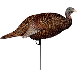 Flextone Hunting Lightweight Ultra Realistic Lifelike One Piece Outdoor Thunder Chicken Breeder Hen Turkey Decoy