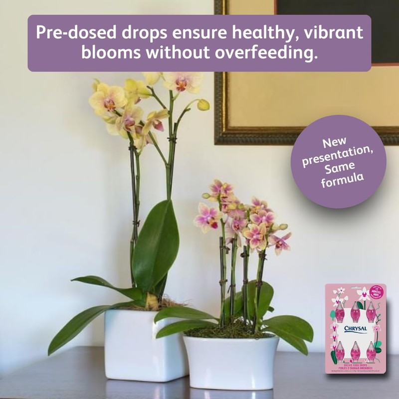 Chrysal Orchid Food Drops — Orchid Care — One Pack