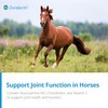 PRN Pharmacal Duralactin Equine Joint Plus Pellets - Joint Health