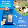 Chicken Coop Deodorizer – Natural Zeolite Odor Eliminator & Moisture