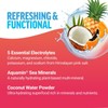 Force Factor Liquid Labs Electrolytes Powder Packets | Tropical Fruit