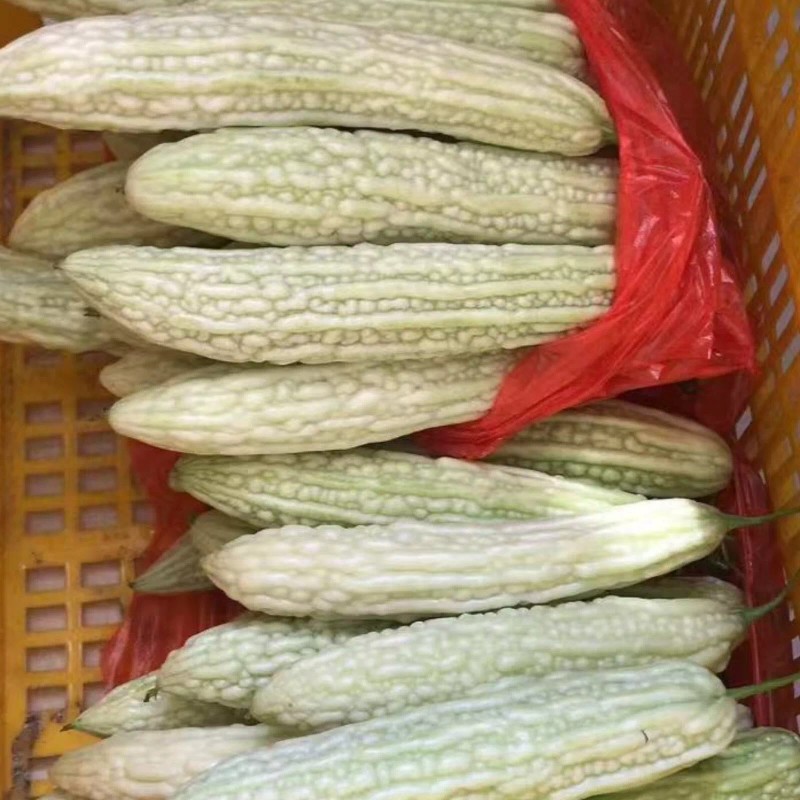 ZEshops 15pcs White Pearl Bitter Gourd Seeds Heirloom Balsam Pear