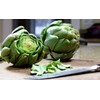 NIKA SEEDS - Seeds Vegetable Green Globe Artichoke - 20