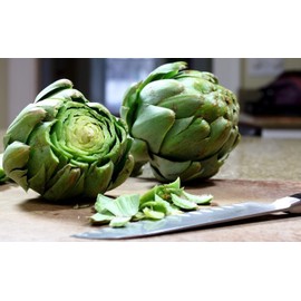 NIKA SEEDS - Seeds Vegetable Green Globe Artichoke - 20 Seeds