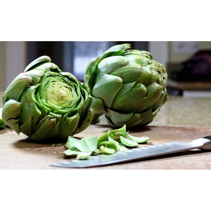 NIKA SEEDS - Seeds Vegetable Green Globe Artichoke - 20