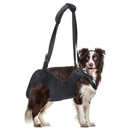 Dog Carrier: Dog Carrier - Full Body Leader with Handle for Dogs from 7.5-10 kg, with Support Ring, Especially for Sick or Older Dogs