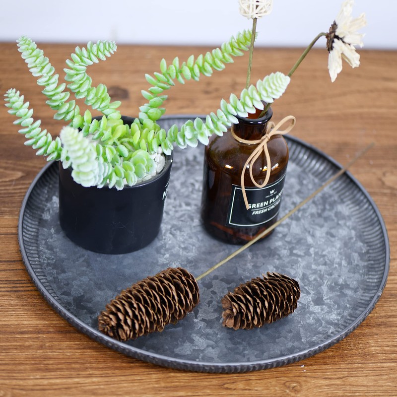 Funerom Round Galvanized Metal Tray Decorative Tray Corrugated Edges (12.6