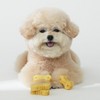 Fitpet Itchu Honey Gold Soft Dog Dental Chews 34 Count