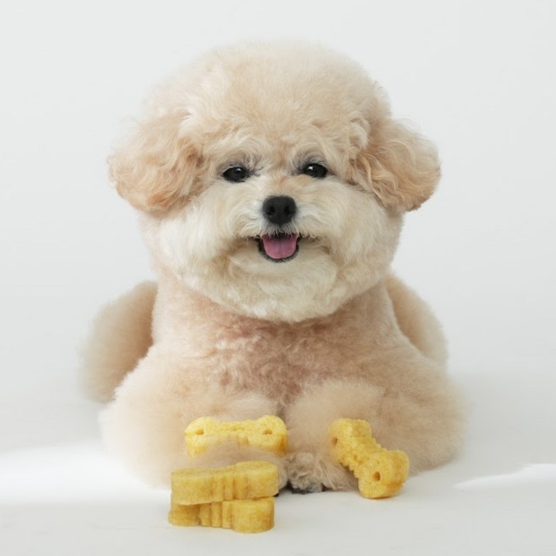 Fitpet Itchu Honey Gold Soft Dog Dental Chews 34 Count