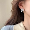 Set de Aretes Elegantes con Diseño de Rosas y Mariposas