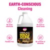 Quick 'n Brite Fireplace Brick and Stone Cleaner 64oz -