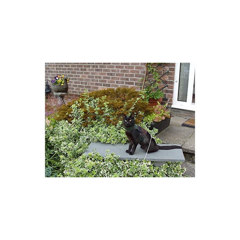 Mynwood Cat Jacket/Harness Green Combat Adult Cat