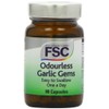 FSC One A Day Garlic Gems - Pack of 90