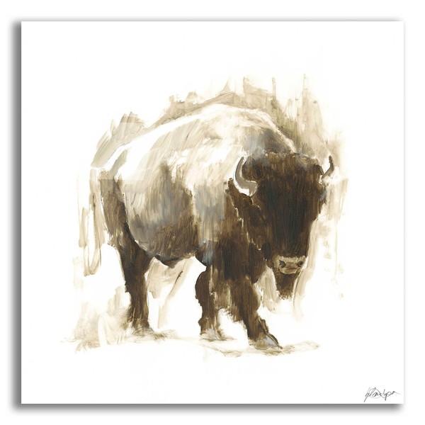 Epic Art 'Rustic Bison I' by Ethan Harper, Acrylic Glass