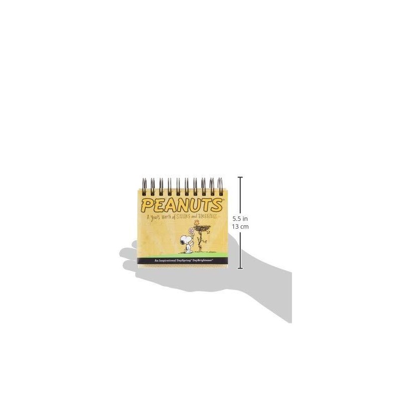 Dayspring Inspirational Daily Flip Calendar 5.5 x 5.25 inch with