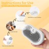 5 in 1 Cat Steam Brush - Self Cleaning Steam