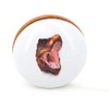 Vilac Yoyo T-Rex Museum - Funny Toy for Young or