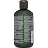 Paul Mitchell TEA TREE Lemon Sage Thickening Shampoo Detoxify Volumize