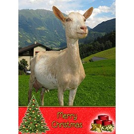 Goat Christmas Card 'Merry Christmas' - Special Xmas Card for Him Her Kids Male Female