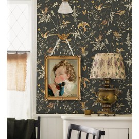 Peel and Stick Wallpaper 16.1''x78.7'' Brown Vintage Bird Wallpaper and 16.1''x78.7'' Dark Blue Bird Wallpaper