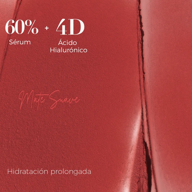 Sace Lady Labial Mate Larga Duracion 24h No Transfier 2.3g