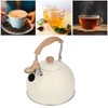 Whistling Kettle Stainless Steel Tea Kettle 2.5L Whistling Tea Pot