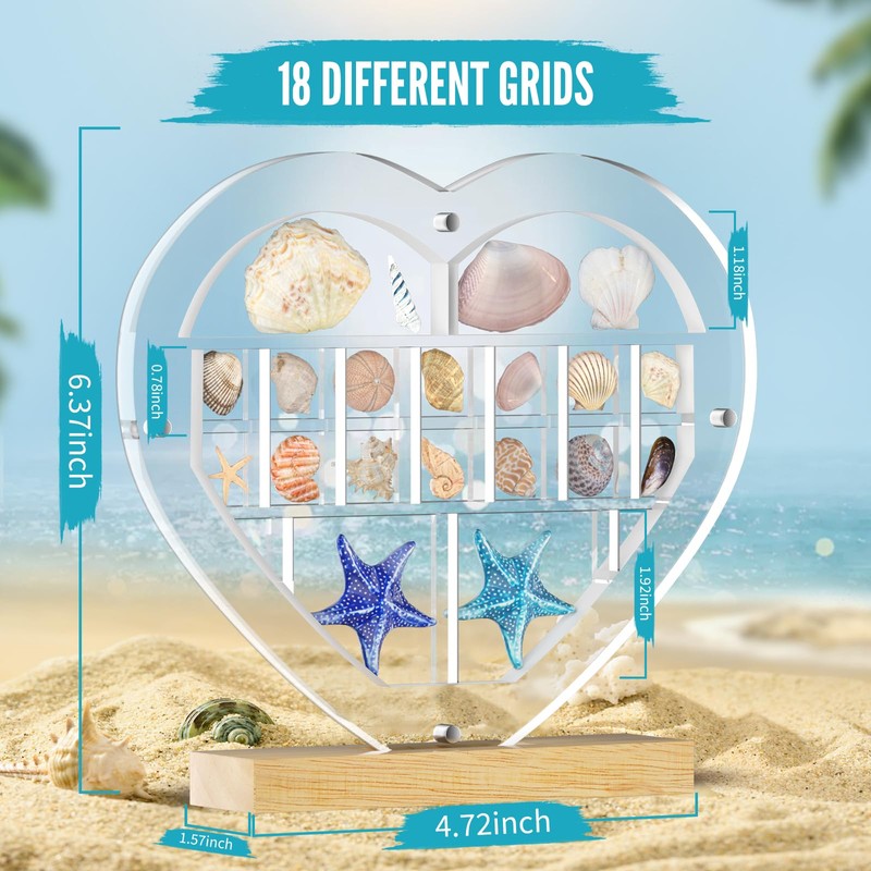 Mini Heart Acrylic Magnetic Seashell Display Box with Hold Base,