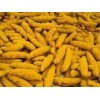 Chandru's Turmeric Root Finger Pure, Whole-100g(3.5