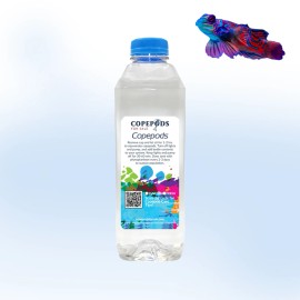 Copepods For Sale Mandarin Mix – 5-Species Copepod Blend for Mandarin Gobies– Free Shipping!