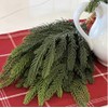 RAZ Imports Artificial Balsam Fir Spray Bundle, 18 Inch, Green,