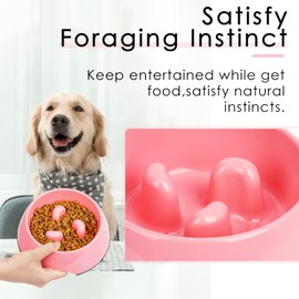 SUPERDESIGN Slow Feeder Dog Bowl Cat Bowl 1/2 Cup Slow Feeding Dog Bowl for Small Medium Breed Anti Gulping Healthy Eating Interactive Bloat Stop Alternative Non Slip Puzzle Dog Food Bowl, Rose Red