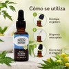 Aceite de NEEM Orgánico 100% puro sin diluir - Azadiractina