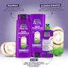 Garnier Fructis Shampoo Rizos Poderosos, 650 ml, 0.71 kilograms, 1