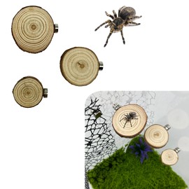 Okueejur 3 Pack Jumping Spider Enclosure Ledges with Magnets Natural Pine Spiders Ledges Magnetic Ledge Ladder Pet Jumping Spider Accessories (Round)