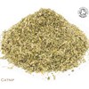 Organic Catnip Pure Herbal Infusion (25 Unbleached Tea Bags -