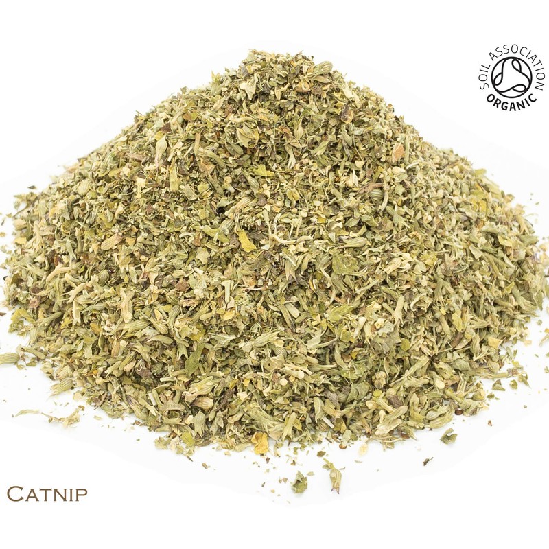 Organic Catnip Pure Herbal Infusion (25 Unbleached Tea Bags -