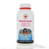 CANADIAN SPA CO. Alkalinity Lifter 500 g, Granules to Raise
