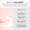 Alaya Naturals Collagen Peptides Powder - Non-GMO, Grass-fed Hydrolyzed Collagen