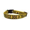 Service Dog in Training Dog Collar