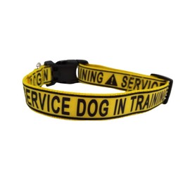 Service Dog in Training Dog Collar
