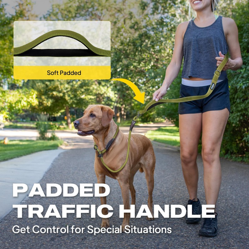Fida 2-in-1 Slip Leads for Dogs with Double Handles, Tangle